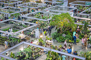 The opening ceremony of Bangkok International Exotic Plants Show and Sale 1